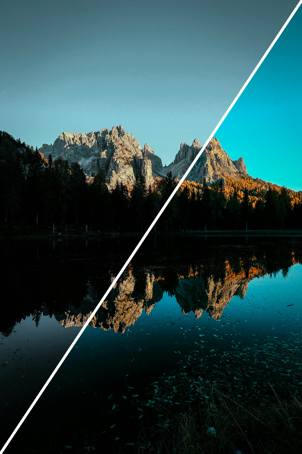 Complete Preset & LUT Collection