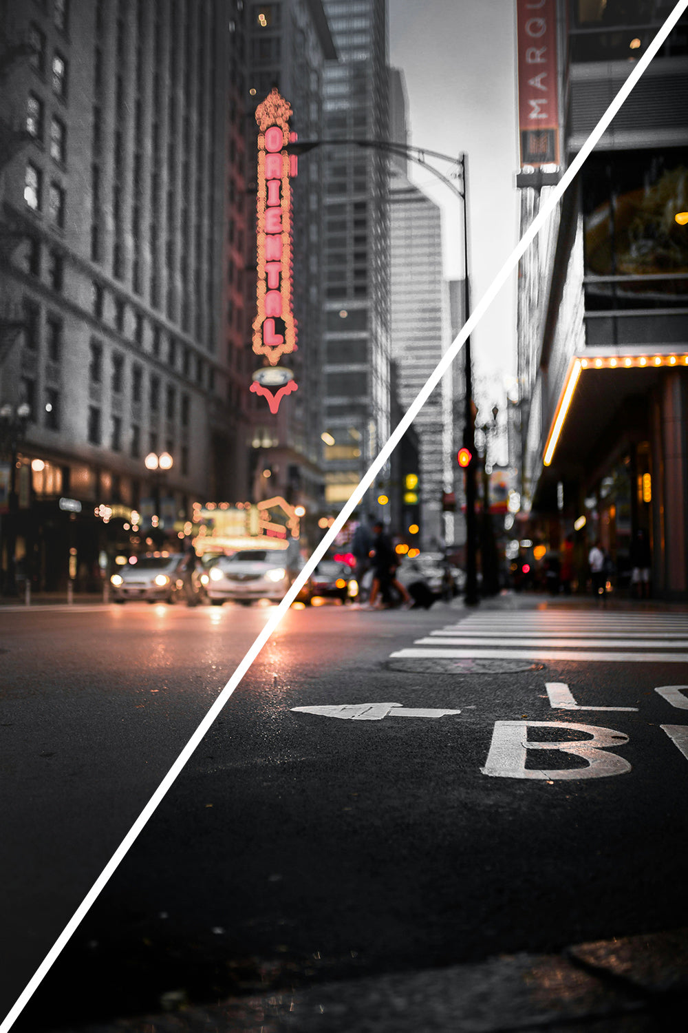 Complete Preset & LUT Collection